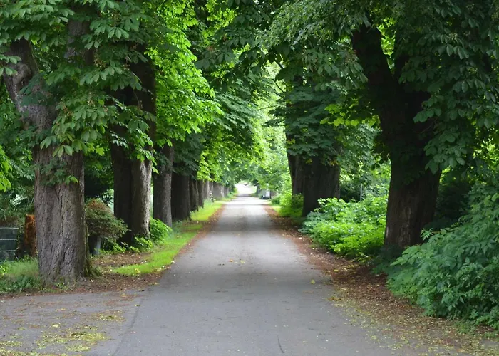 Wohnung Am Weserradweg